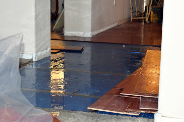 Professional Water Extraction technician working in McClure, OH